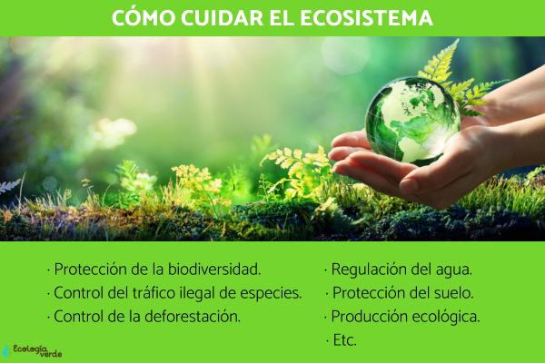 acciones que ayudan a preservar los ecosistemas naturales