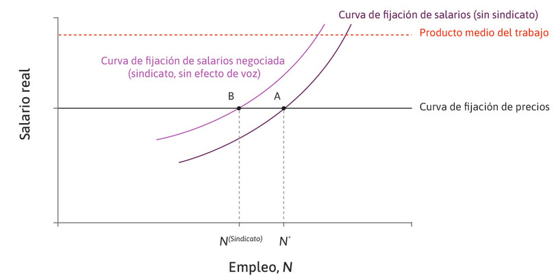 administracion de empresas duracion y salario potencial