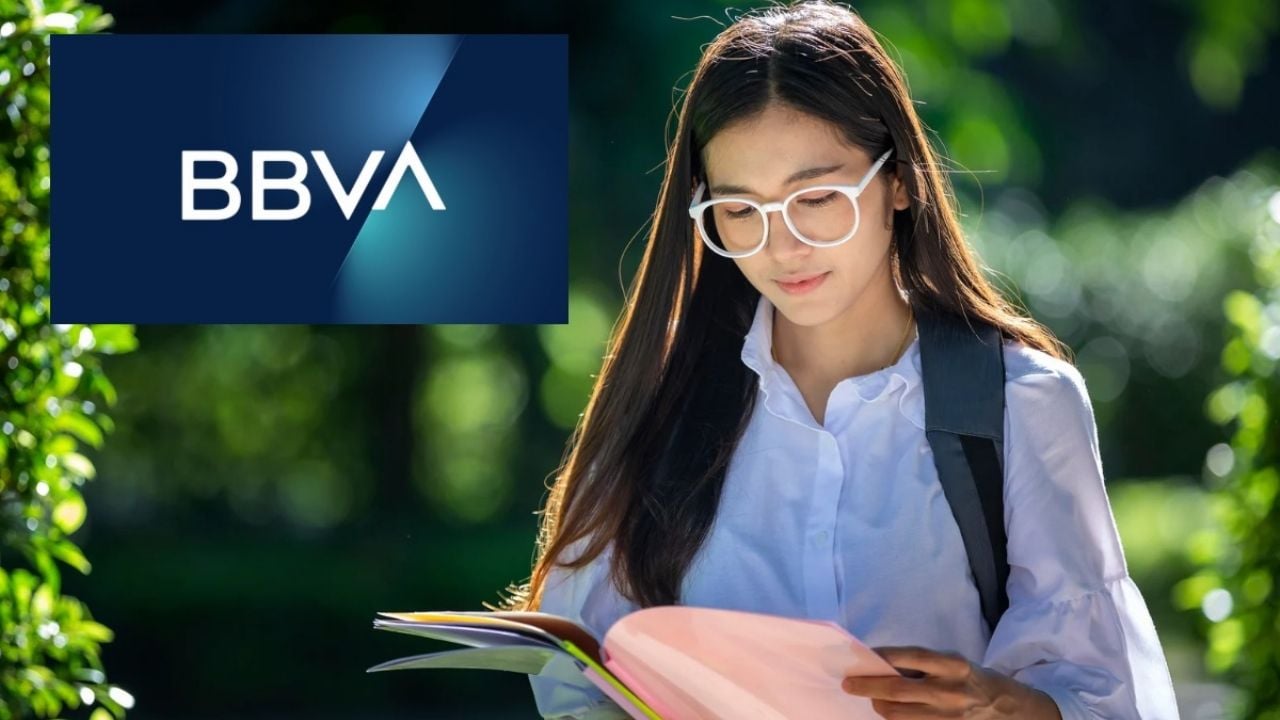 bbva convocatorias 2024 requisitos y oportunidades
