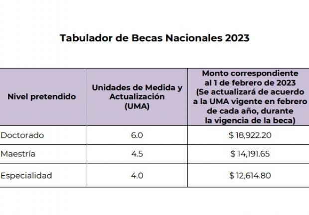 beca conacyt estudia una maestria o especialidad hoy