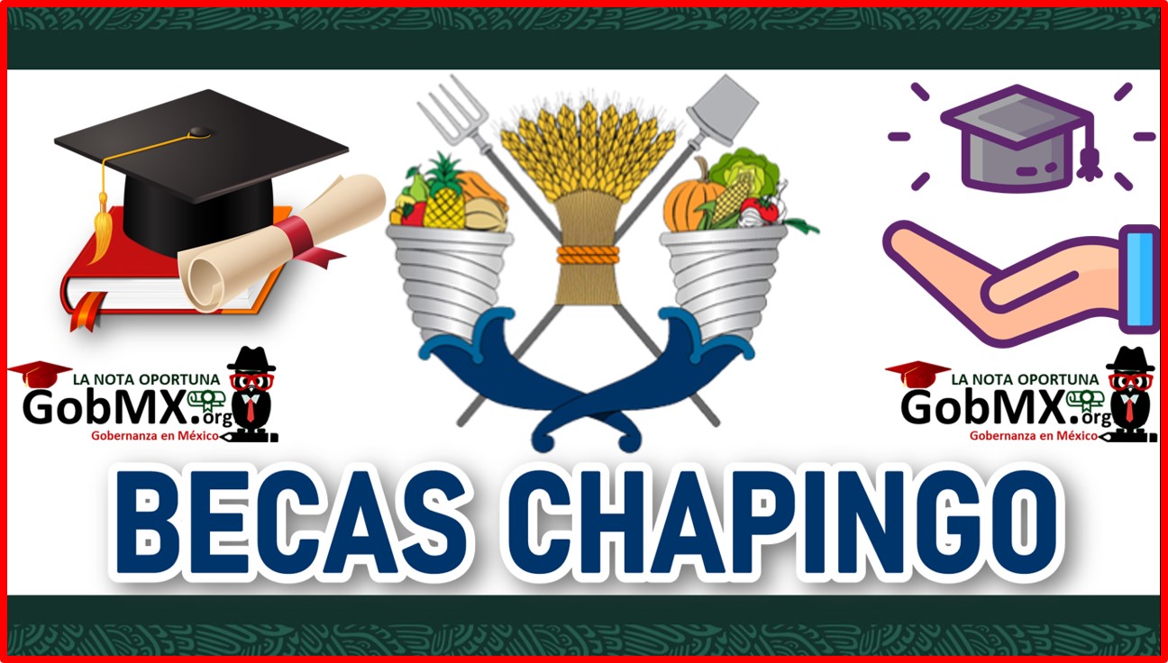 becas chapingo 2024 2025 tu mejor opcion en becados net