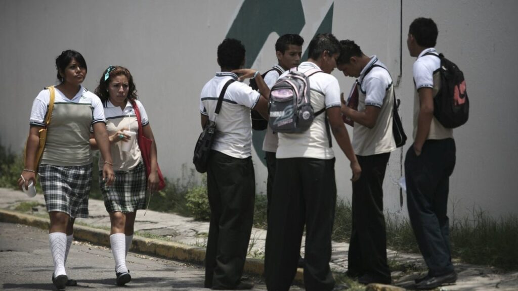 Becas Dual 2025-2026: Estímulos para Educación Dual 2 becas dual 2024 2025 estimulos para educacion dual