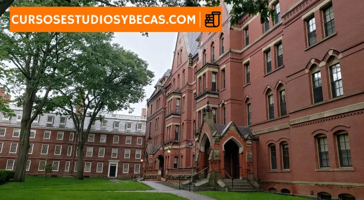 becas harvard requisitos beneficios y tipos para 2024