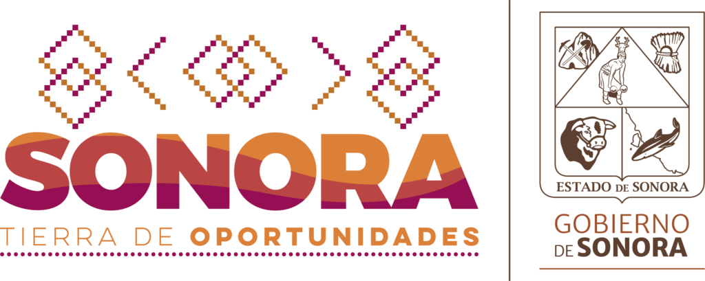 becas sonora primaria un apoyo fundamental para la educacion de los ninos en sonora