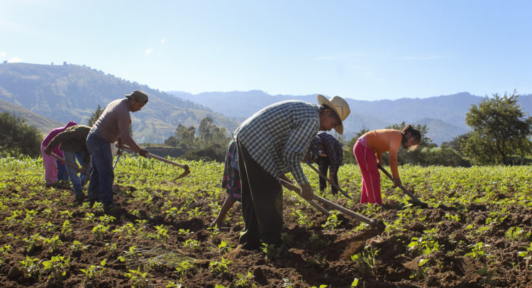 bienestar para el campo mejorando la calidad de vida en el medio rural 1