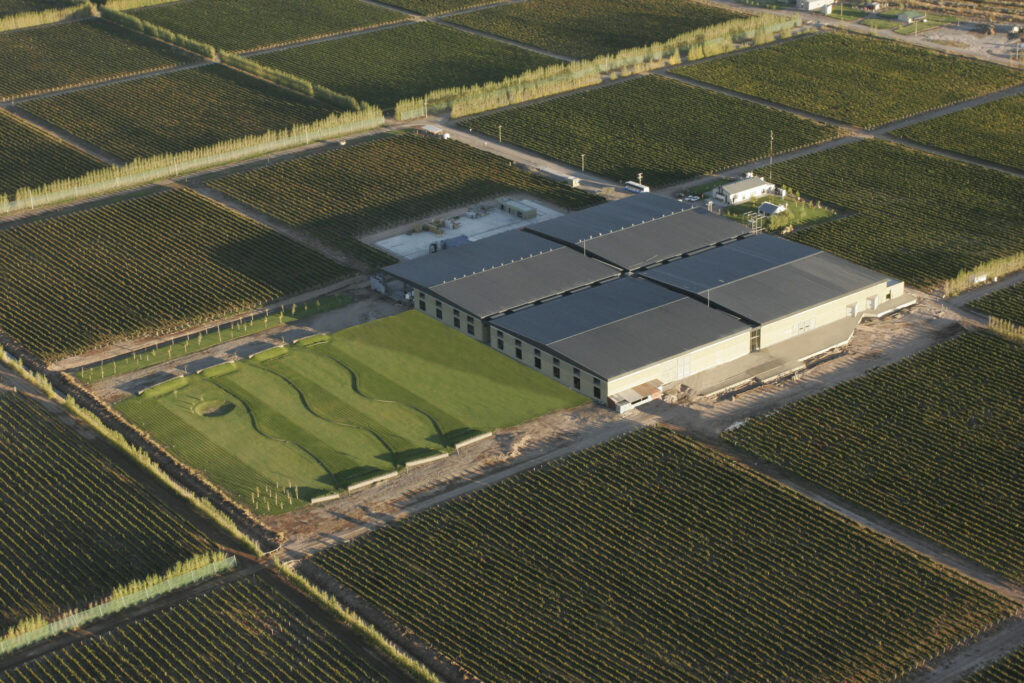 bodegas fin del mundo neuquen ubicacion y detalles clave
