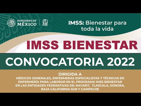 bolsa de trabajo bienestar 2024 oportunidades laborales