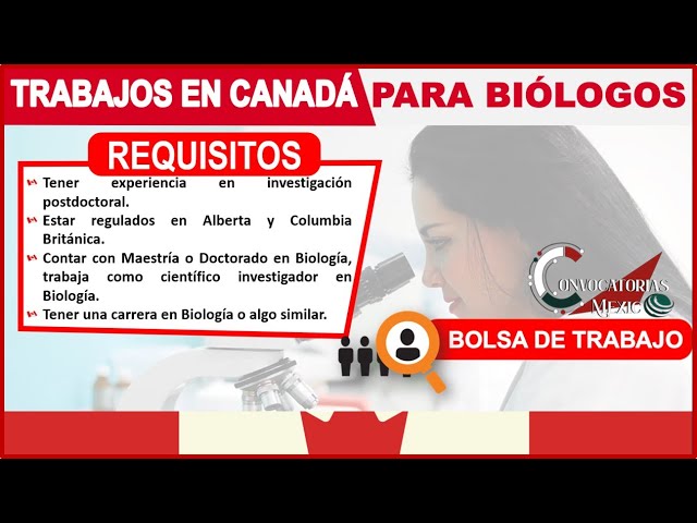 Bolsa de trabajo biólogos en Canadá 2026-2026: Oportunidades 2 bolsa de trabajo biologos en canada 2024 2025 oportunidades