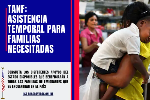 Buscador de Beneficiarios Bienestar: Encuentra a quienes necesitan tu ayuda 2 buscador de beneficiarios bienestar encuentra a quienes necesitan tu ayuda