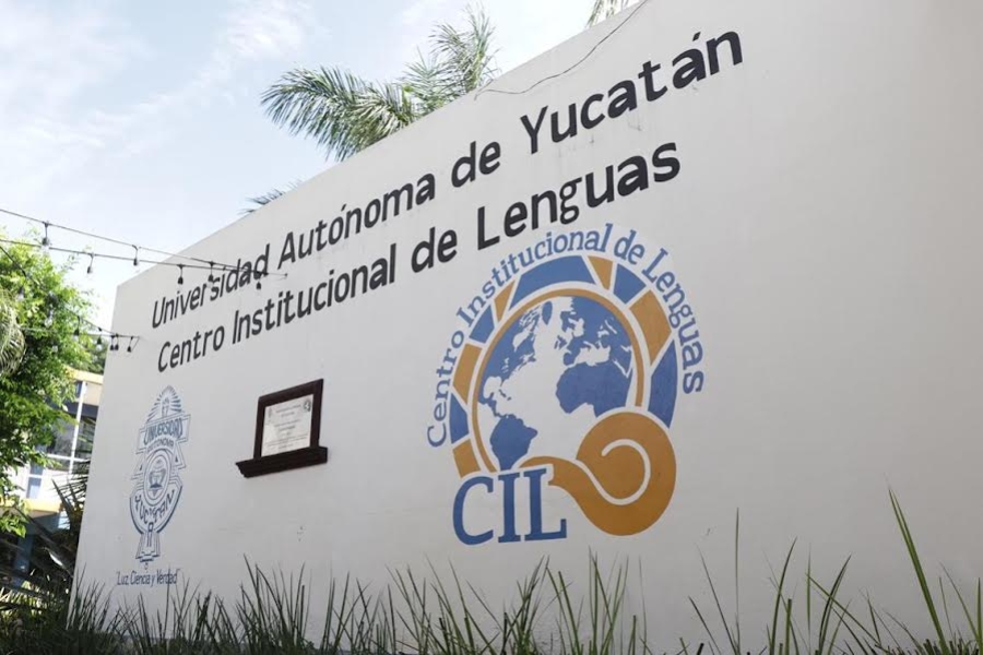 carreras de la uady opciones educativas de calidad en yucatan