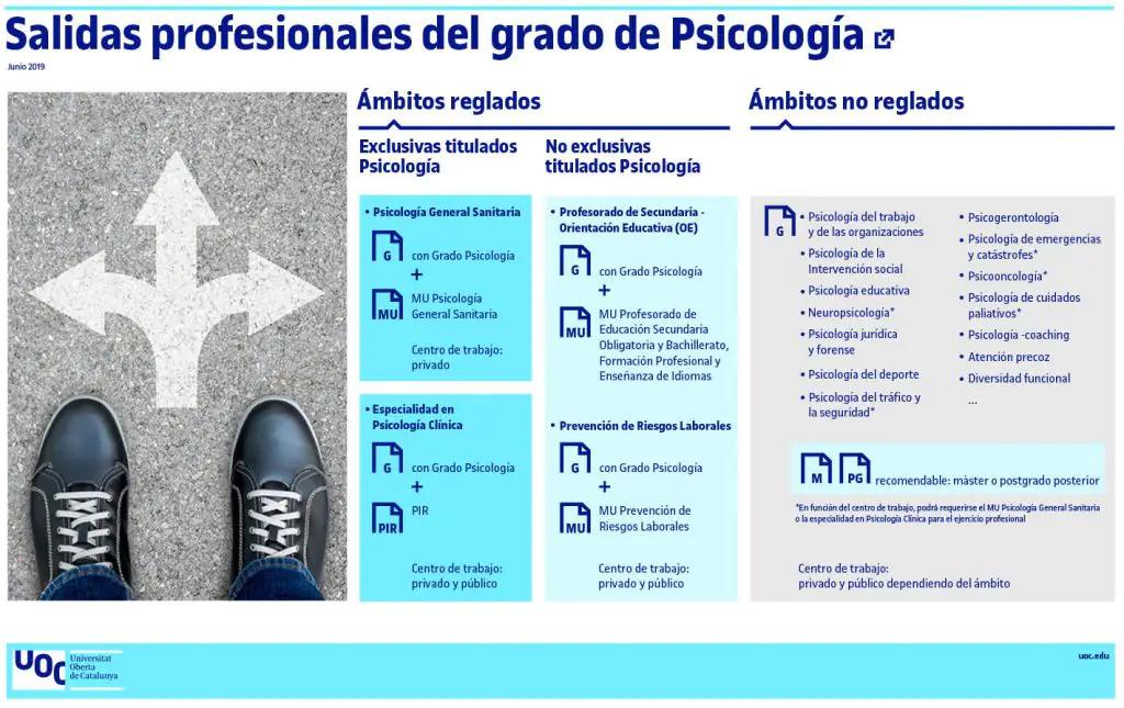 carreras de psicologia social formacion salidas profesionales y perspectivas laborales