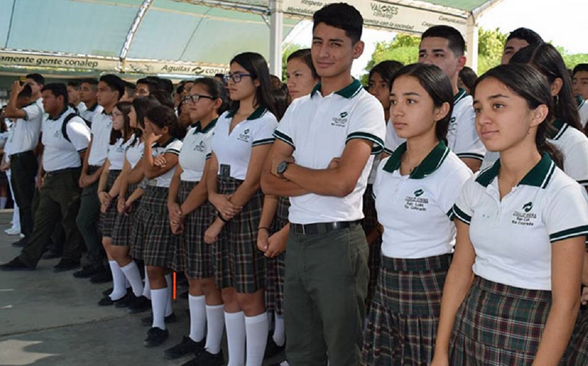 Carreras que tiene el Conalep: Una oferta educativa para el futuro 2 carreras que tiene el conalep una oferta educativa para el futuro