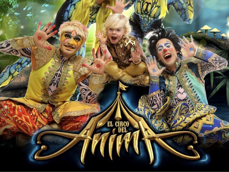 circo anima el espectaculo unico de flavio mendoza