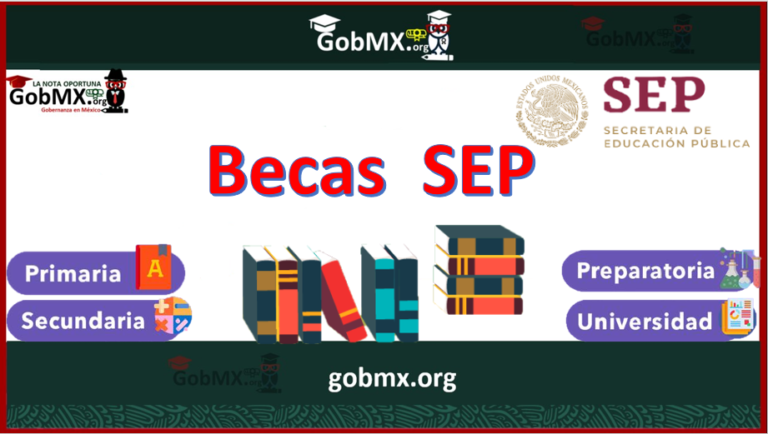 convocatorias requisitos y registro de becas sev 2024
