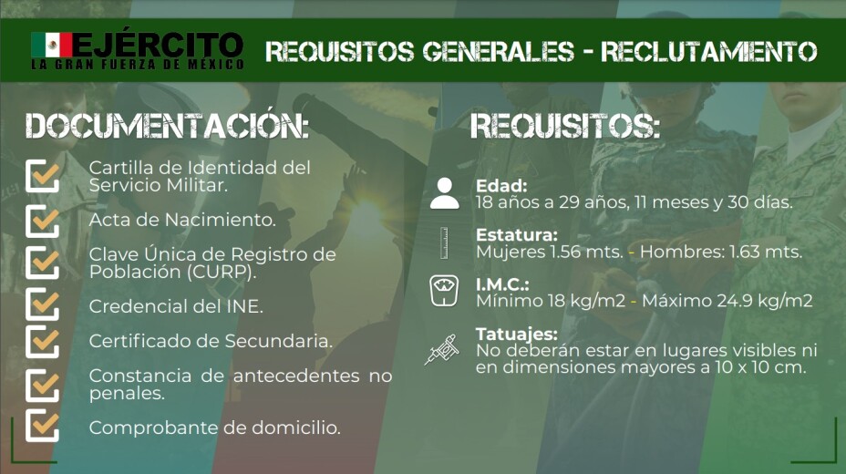 convocatorias y requisitos 2024 todo lo que necesitas