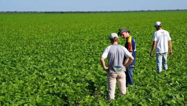 cuales son los 4 mejores cursos de agronomia en mexico 2024