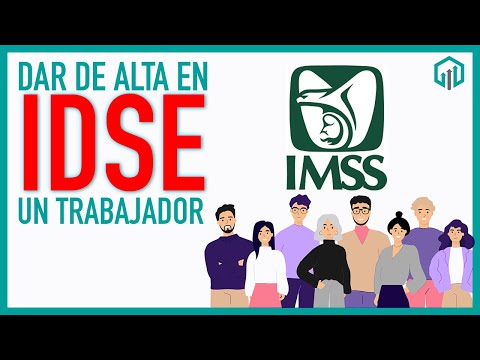 documentos para dar de alta en el imss asegura tus derechos laborales