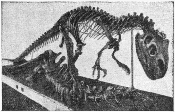 donde se encuentra exactamente el dinosaurio rodriguez del busto