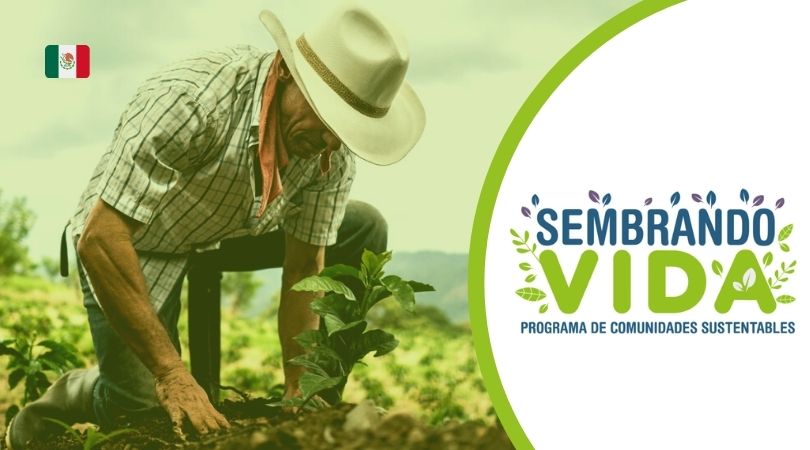 El Programa Sembrando Vida: Una iniciativa para transformar vidas y conservar el medio ambiente