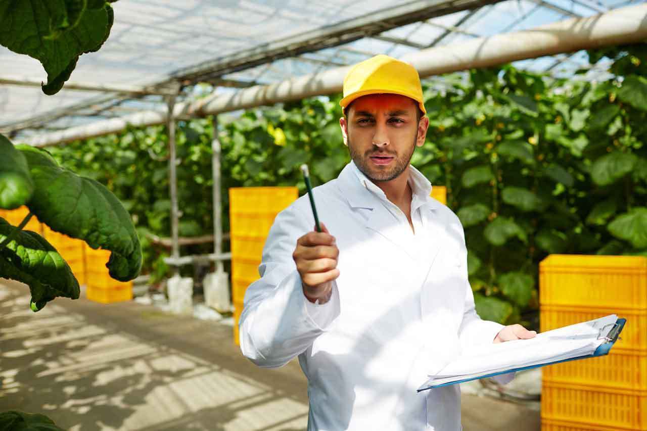 Es recomendable estudiar Ingeniería Agroindustrial en 2026 2 es recomendable estudiar ingenieria agroindustrial en 2024