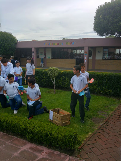 escuela yoliztli excelencia educativa en cholula puebla