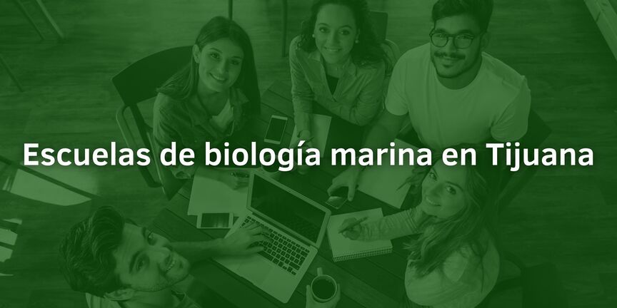 escuelas de biologia marina formacion para los amantes del mar