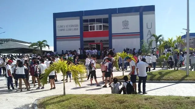 escuelas de ingles en acapulco uagro y su