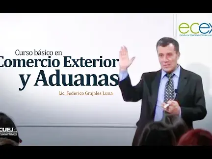 estudiar comercio internacional guia y salarios 2024