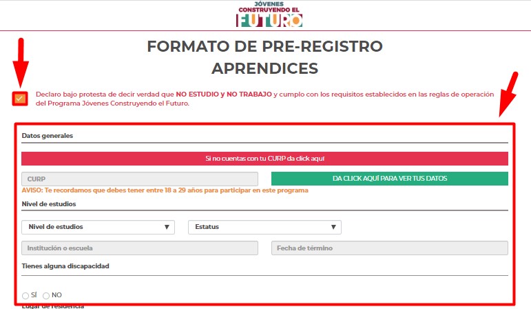 formato de pre registro de jovenes construyendo el futuro