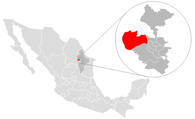 gas express a domicilio encuentra servicio en garcia