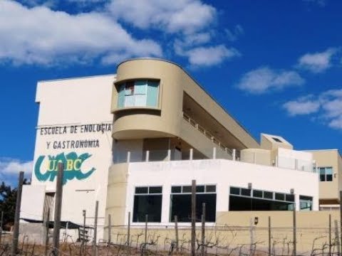 gastronomia uabc facultad de enologia en ensenada