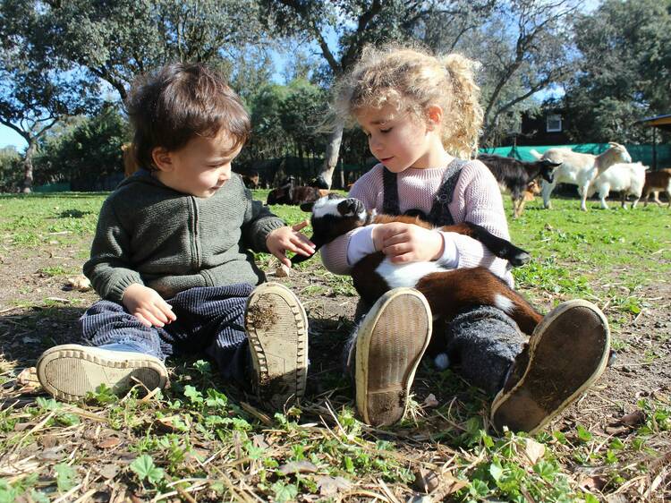 Granjas para pasar el día en familia: ¡Descubre aquí! 2 granjas para pasar el dia en familia descubre aqui