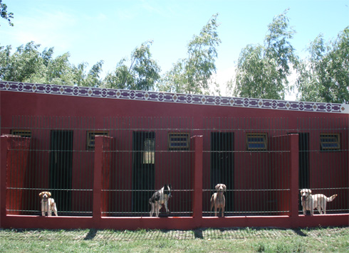 guarderia canina en mar del plata servicios disponibles