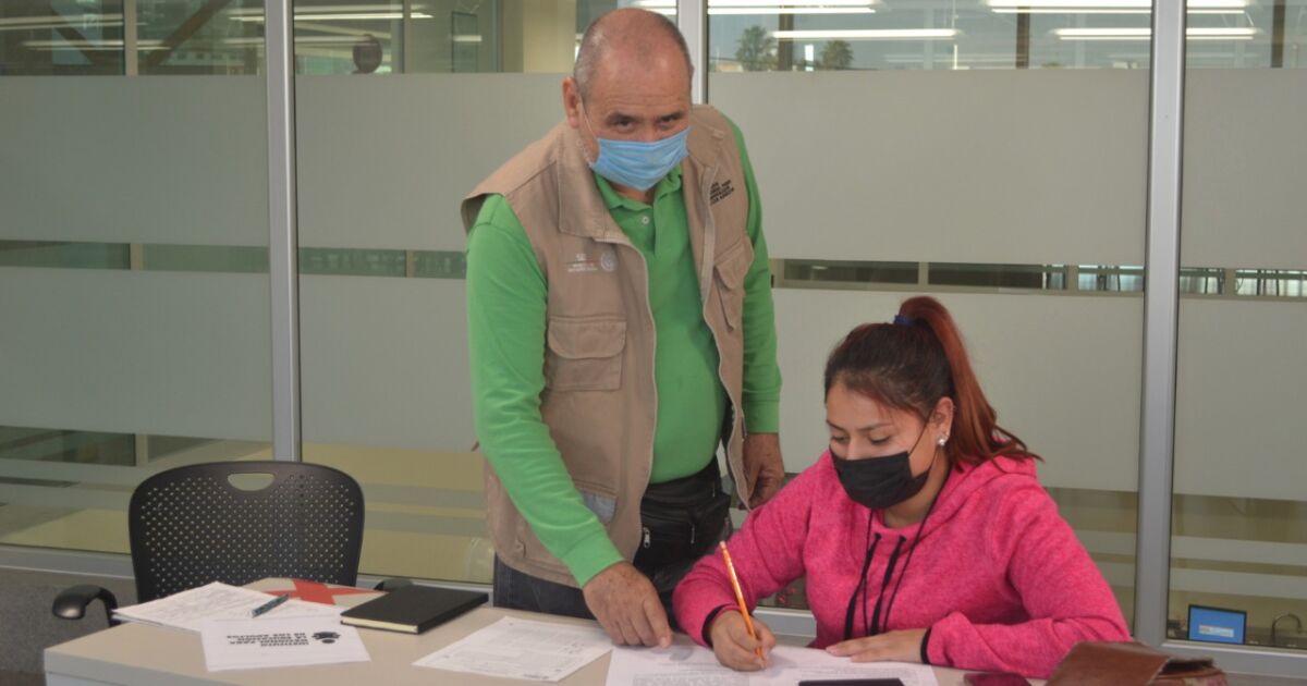 inea secundaria en un solo examen todo lo que necesitas saber