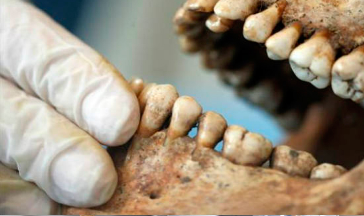 ipn especialidad en medicina forense tu carrera forense