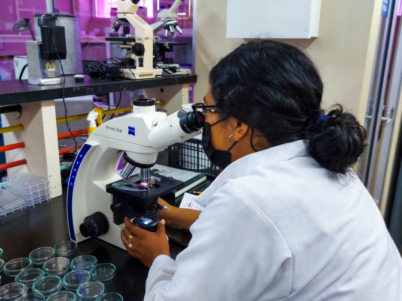 itson admisiones inicia el periodo de posgrados 2024