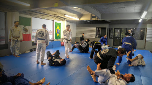 Jiu Jitsu en Tijuana: Clark Gracie, la Mejor Escuela 2 jiu jitsu en tijuana clark gracie la mejor escuela