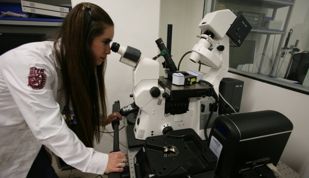 laboratorista clinico carrera tecnica en ipn e296b7