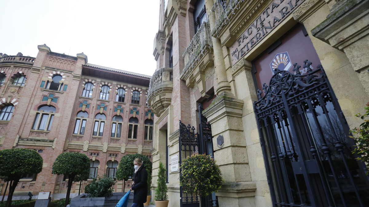 las mejores universidades de cordoba para estudiar tu carrera sonada