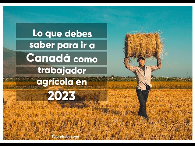 leon gto trabajos oportunidades 2024 2025 en canada