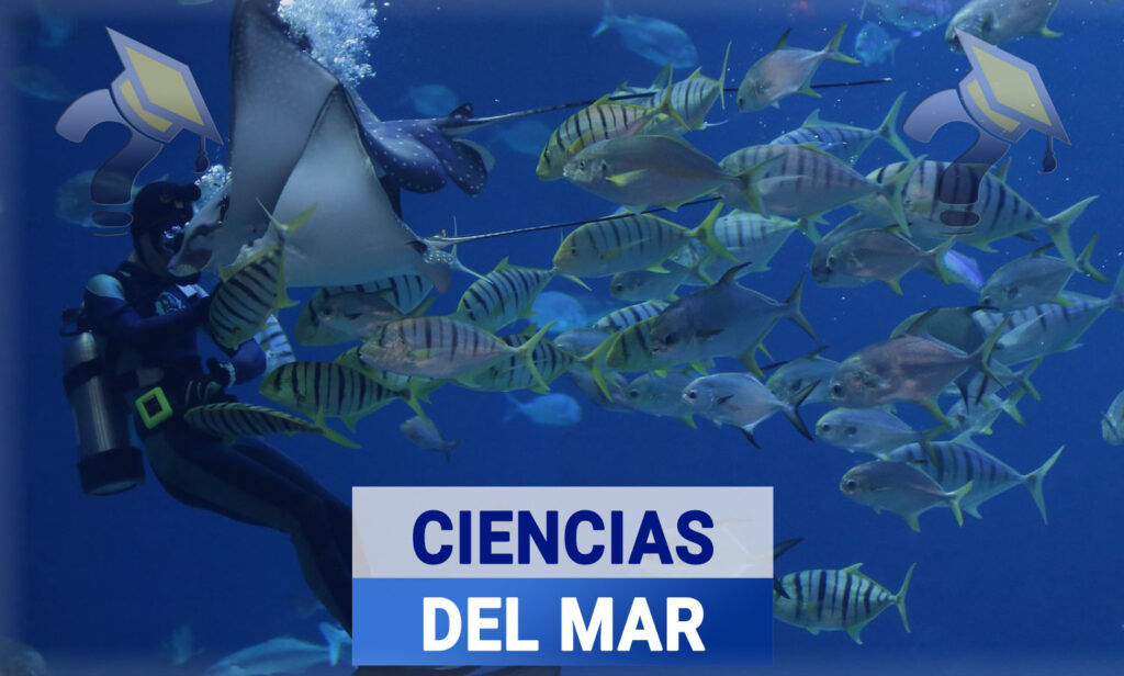 Oceanología: Guía de Carrera 2026 para Estudiantes 2 oceanologia guia de carrera 2024 para estudiantes