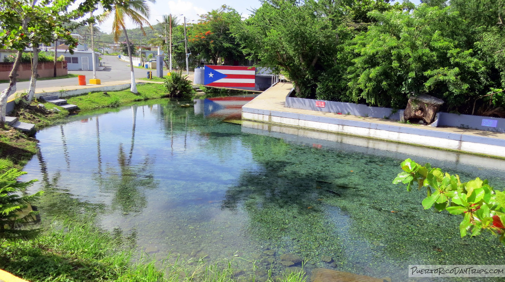 Ojo de Agua Playa del Carmen: Descubre este paraíso natural 2 ojo de agua playa del carmen descubre este paraiso natural
