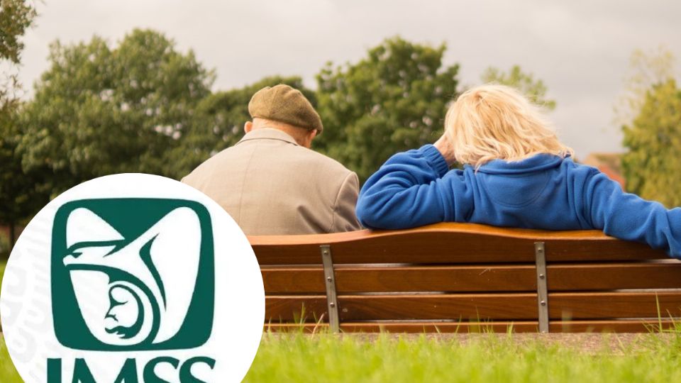 pension imss para extranjeros guia para tramitarla
