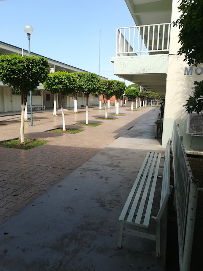 prepa emiliano zapata excelencia educativa en culiacan