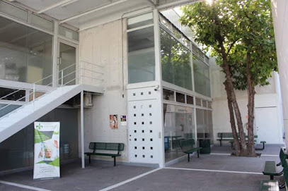 preparatoria juan pablo ii educacion en guadalupe nl