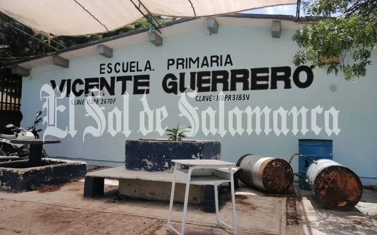 primaria vicente guerrero educacion en irapuato gto
