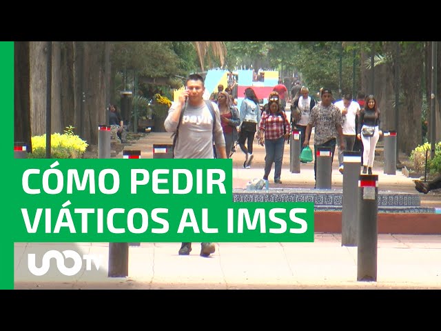 Qué Son y Cómo Puedo Solicitarlos Viáticos IMSS 2026 2 que son y como puedo solicitarlos viaticos imss 2024