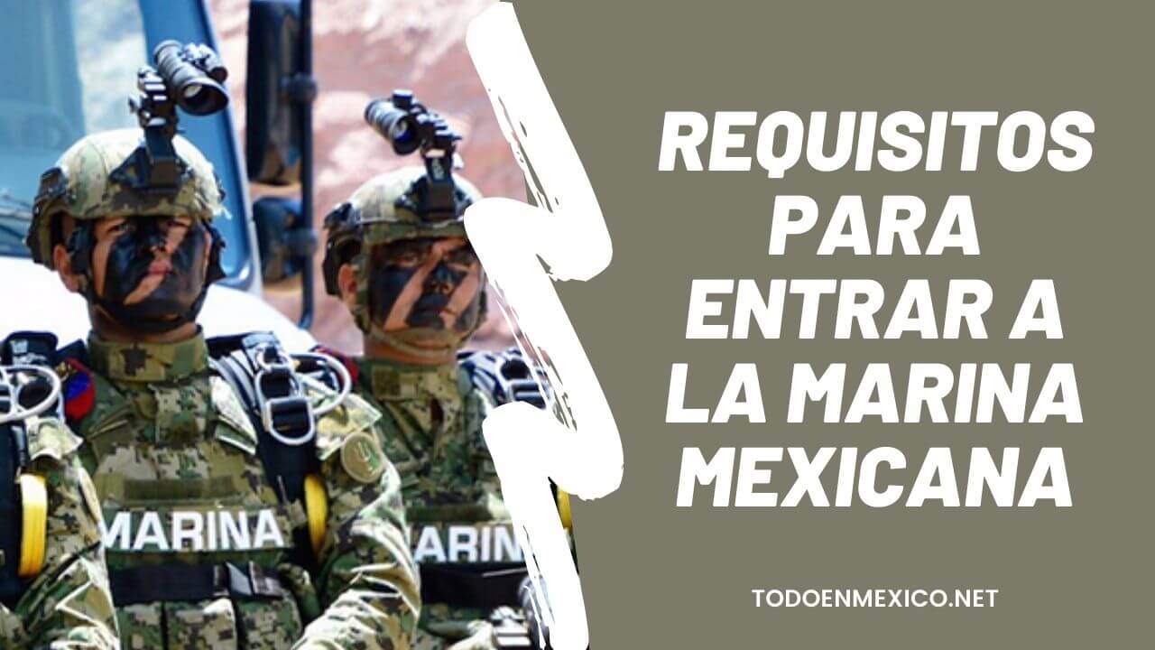 quiero entrar a la marina todo lo que necesitas saber para cumplir tu sueno