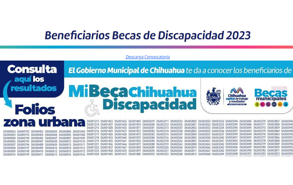 Resultados de Becas de Discapacidad