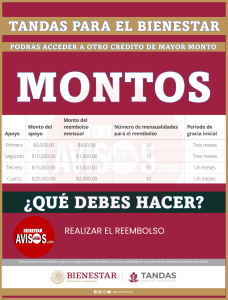 saber cuanto debo en tandas bienestar